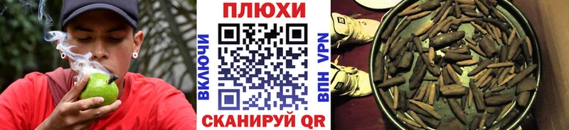 Гашиш индика сатива  Цоци-Юрт 